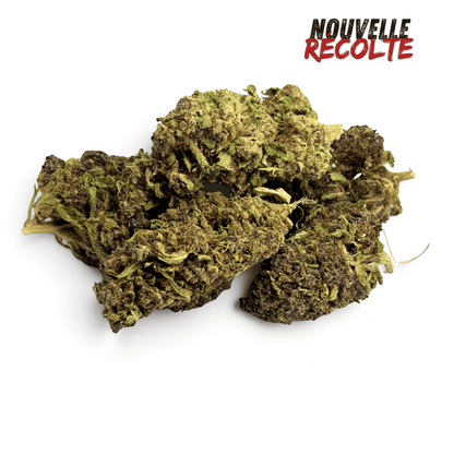 Fleurs CBD Purple Haze Greenhouse – vue principale