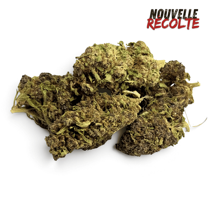 Fleurs CBD Purple Haze Greenhouse – vue principale