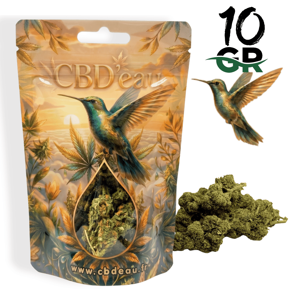 Fleur de CBD Orange Bud 10g préemballée – vue principale