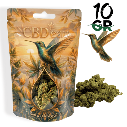 Fleur de CBD Orange Bud 10g préemballée – vue principale