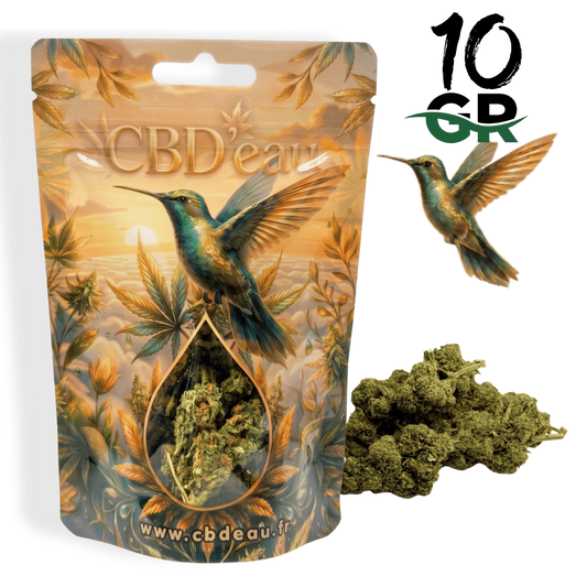 Fleur de CBD Orange Bud 10g préemballée – vue principale