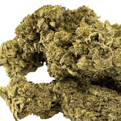 Fleur de CBD Lemon Pop Indoor – détail 2