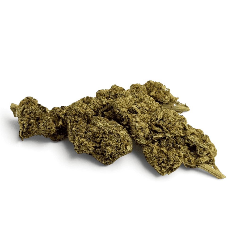 Fleur de CBD Lemon Pop Indoor – vue principale