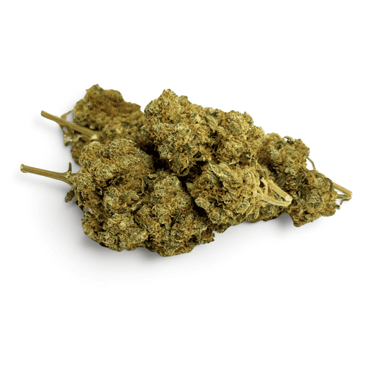 Fleur de CBD Orangello Indoor – détail 2