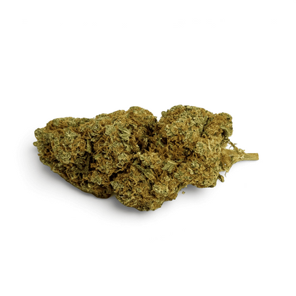Fleur de CBD Orangello Indoor – vue principale