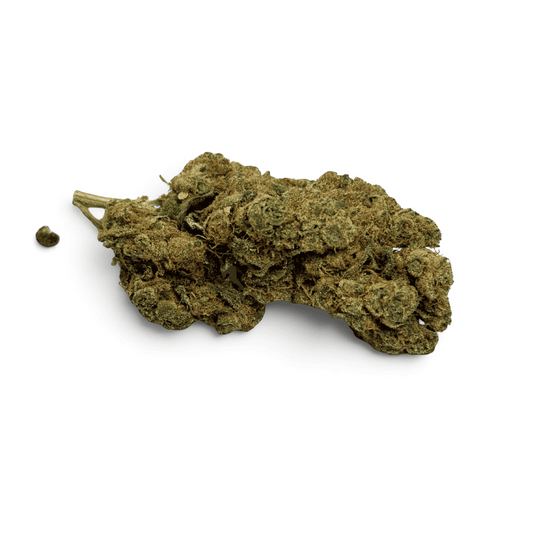 Fleur de CBD Plutonium Indoor – vue principale