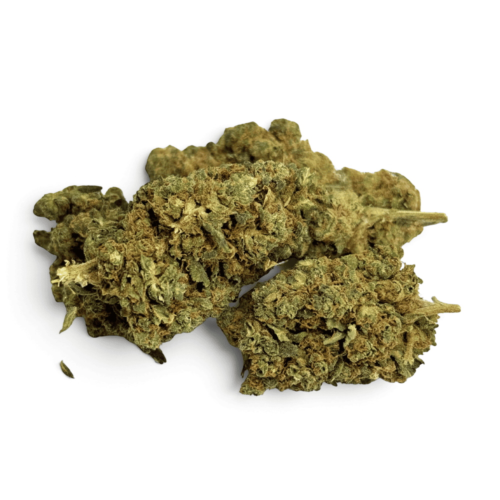 Fleur de CBD Plutonium Indoor – détail 3