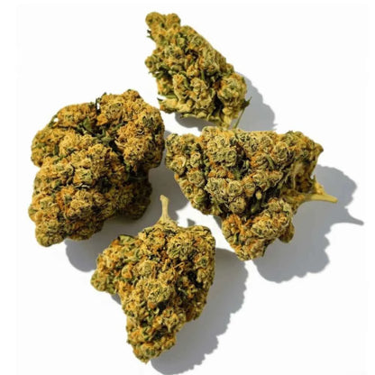 Fleur CBD Buddha Fruit Premium Greenhouse